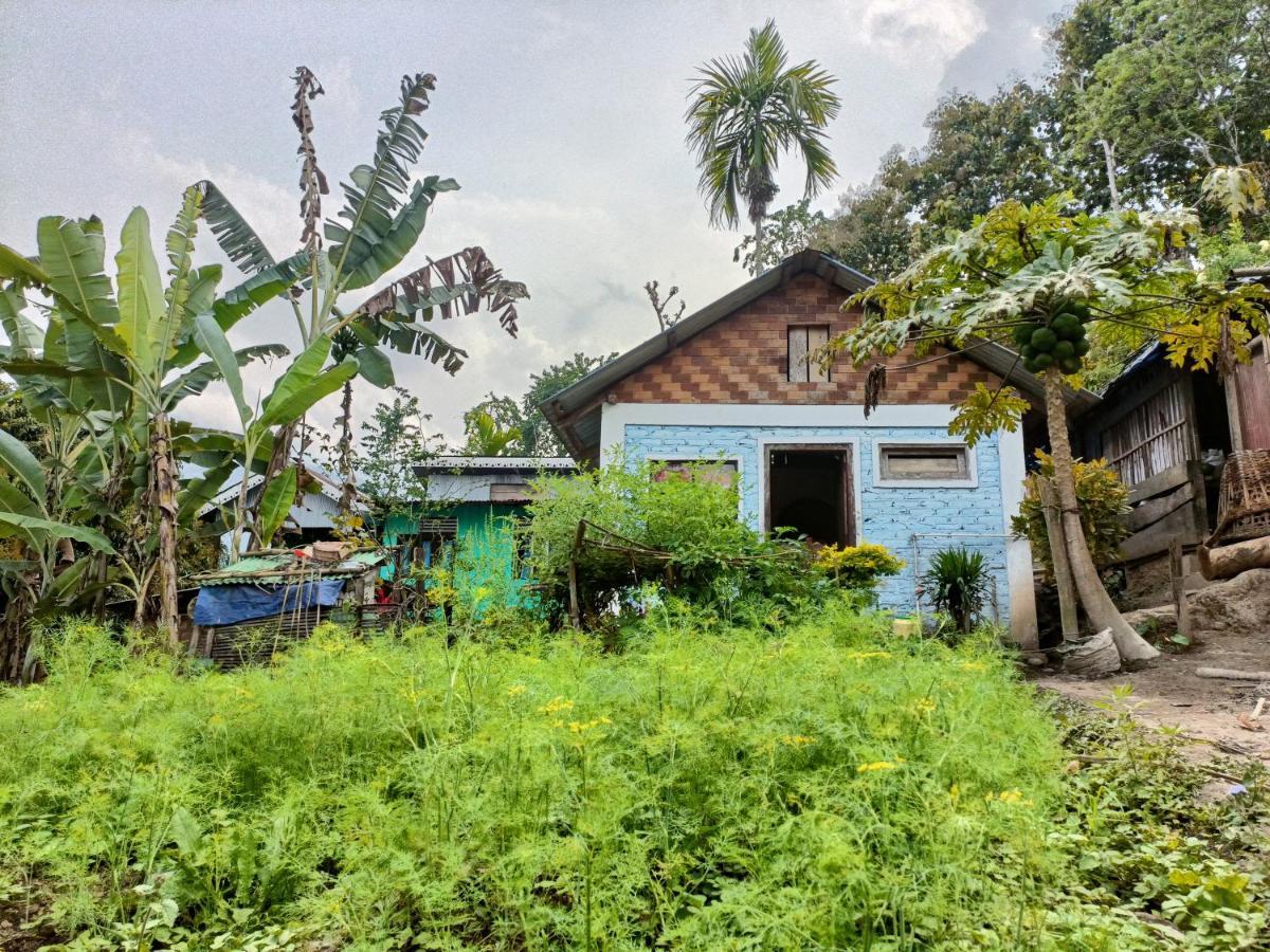 Live In Nature Darjeeling  Exterior photo